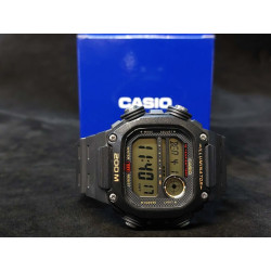 Casio DW-291H-9AVDF używany